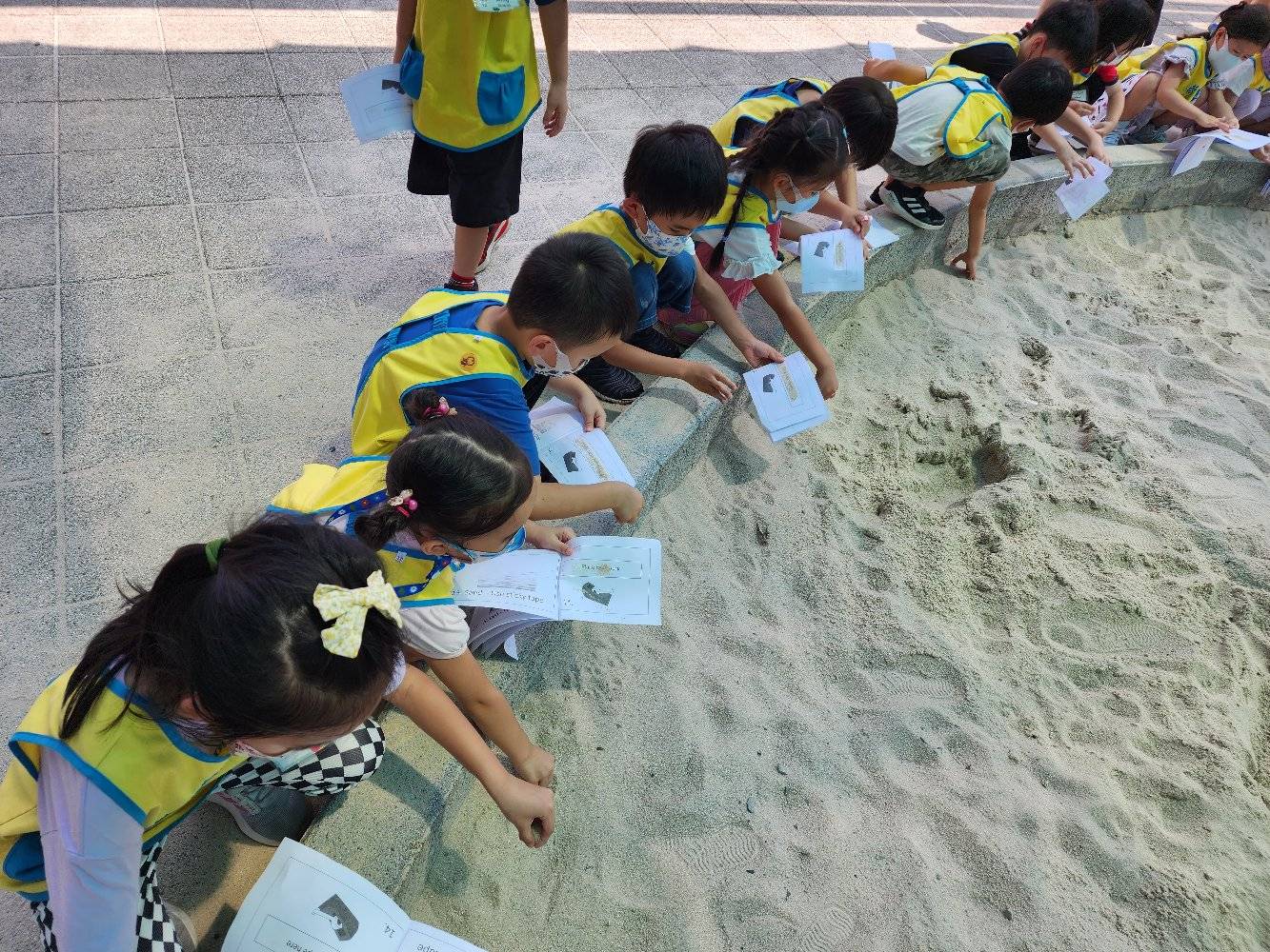 大班在公園沙坑研究